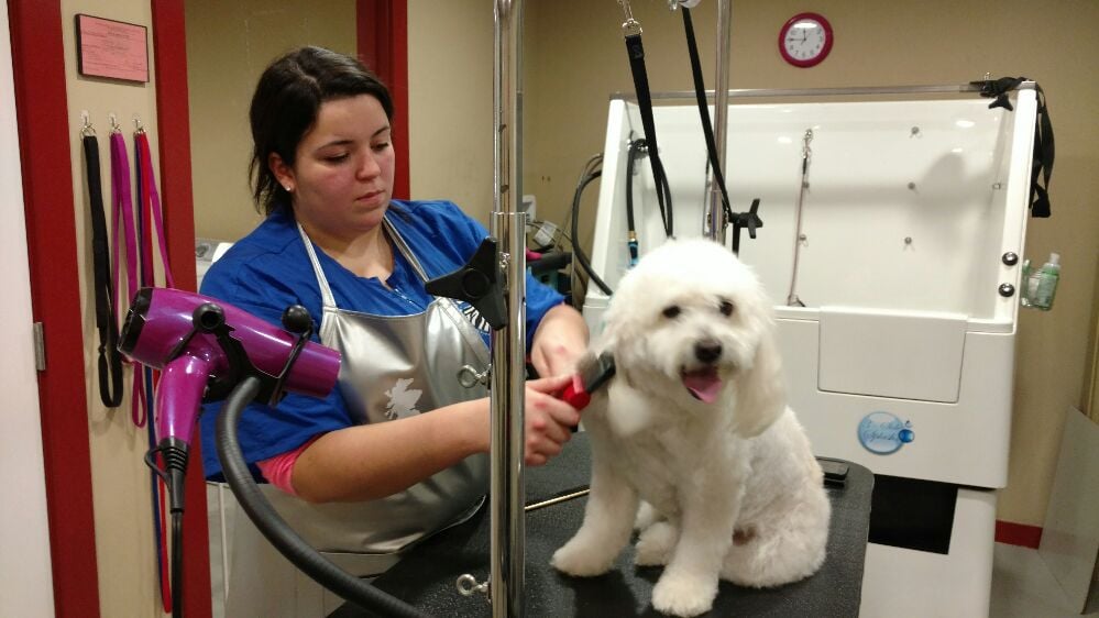 GROOMALON Updated October 2024 26 Photos 10 Fish Haul Rd, Hilton