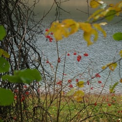 Versetalsperre - Die Hokühler Bucht - westlicher Seitenarm der Versetalsperre