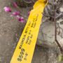 Photo of Perricone Garden Center & Nursery
