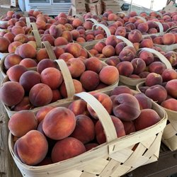 William L Brown Farms - Fresh Peaches