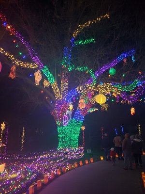 Botanica, The Wichita Gardens by null