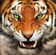 Tigerlinen