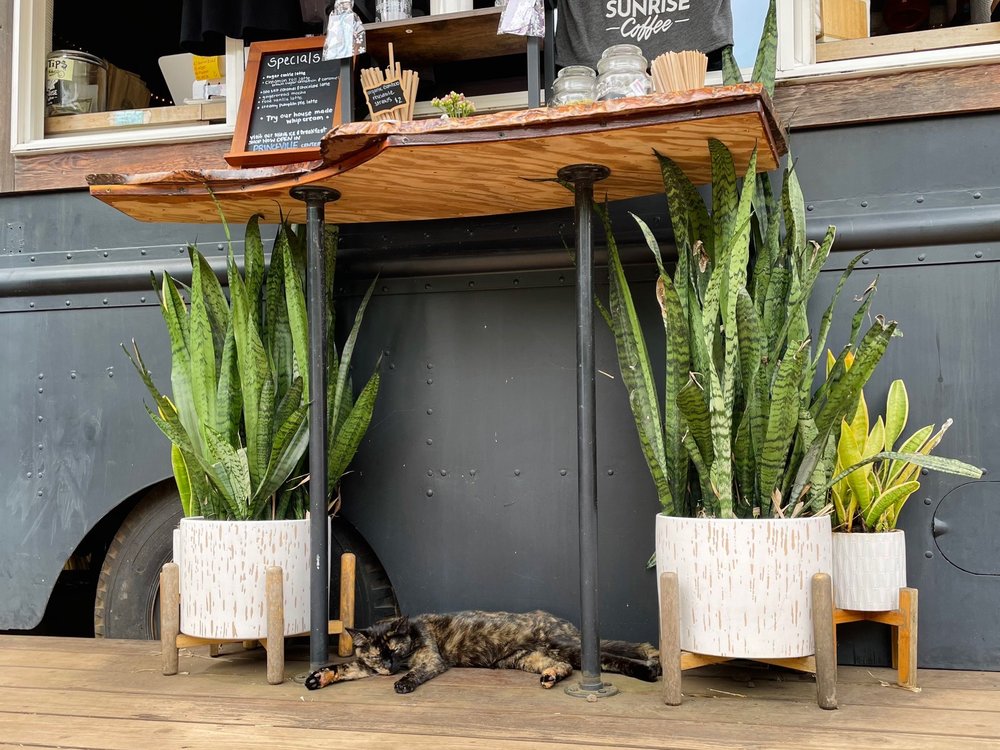 SUNRISE COFFEE Updated May 2024 388 Photos & 292 Reviews 33716 Kuhio Hwy, Lihue, Hawaii