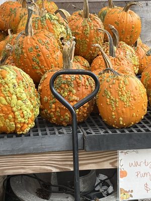 Garden Supply Company by null