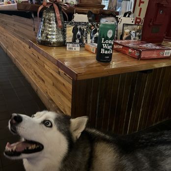 Bad Dog Brewery - Brewpubs Near Me - Torrington, Connecticut