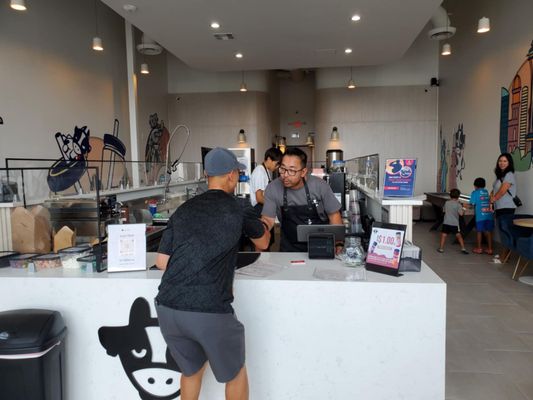 Lazi Cow - Frisco by null