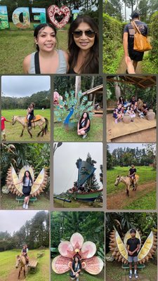 Eden Nature Park & Resort by null