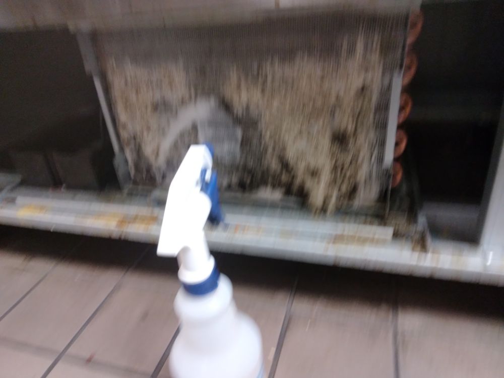 Slide of Nando Services