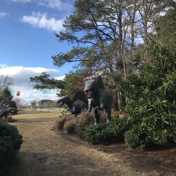Jerrassic Park - Parks Near Me - Virginia Beach, Virginia