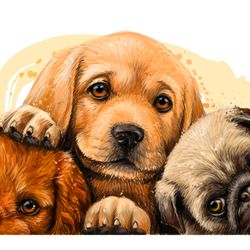 Coaching Canine Companions - Coaching Canine Companions Dog Trainer