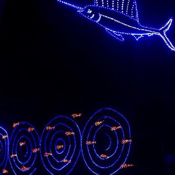 Shelby Farms Park - Under the sea! - Parks Near Me - Memphis, Tennessee Shelby Farms Park - Under the sea! - Parks Near Me - Memphis, Tennessee