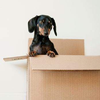 All Pro Moving - Movers Near Me - San Antonio, Texas All Pro Moving - Movers Near Me - San Antonio, Texas
