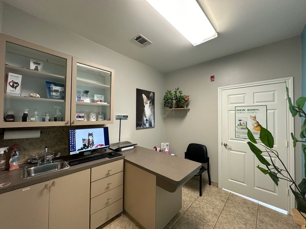 STONESIDE VETERINARY HOSPITAL Updated September 2024 14 Photos & 15