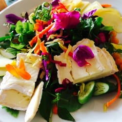 Restaurant De oll Dörpschaul - Salat aus Wildkräuter, saisonalen Blüten und Schaufskäse aus der Region