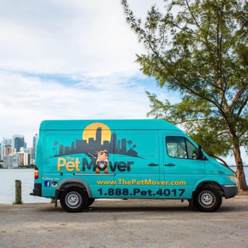 Buy pet mover Outlet