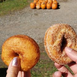 Acorn Farm & Garden Center - Apple cider donuts!
