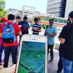 Paseo de las Artes Chapultepec - Muy productiva mañana