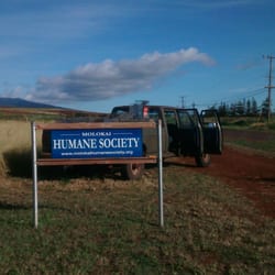 Molokai Humane Society - Look for this sign, and the brightly colored containers that make up the building.
