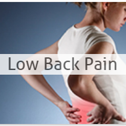 Florida Wellness & Rehabilitation Centers