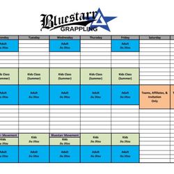 Bluestarr Grappling - We offer many options for class times available to give everyone ample training opportunity!
