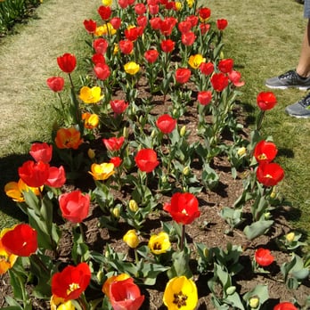 Floral Library National Mall - March 30 - Parks Near Me - Washington, DC, District of Columbia Floral Library National Mall - March 30 - Parks Near Me - Washington, DC, District of Columbia