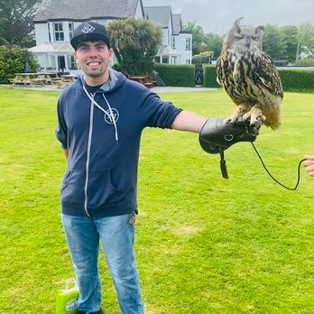 Sunrise Navigation Travel - Dingle Falconry, Ireland - Travel Agents Near Me