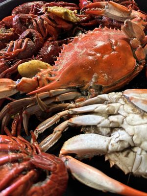 Seither’s Seafood by null