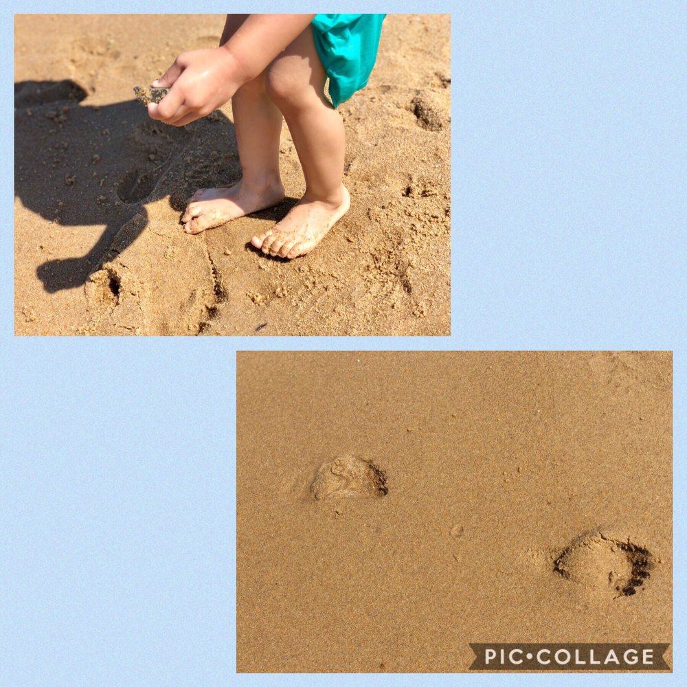 First Landing State Park - 08/30/2019: My daughter's foot prints in the sand... - Parks Near Me - Virginia Beach, Virginia First Landing State Park - 08/30/2019: My daughter's foot prints in the sand... - Parks Near Me - Virginia Beach, Virginia
