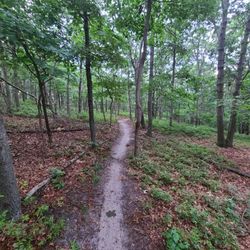 Glacier Ridge Mountain Bike Trail