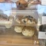 Odd Bird Farm Bakery