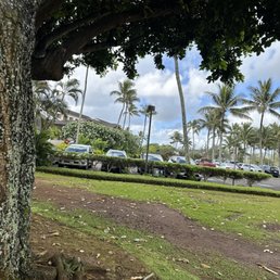 View of the front from a nice shaded bench spot looking out to a palm grove. View of the front from a nice shaded bench spot looking out to a palm grove.