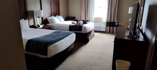 COMFORT INN CONFERENCE CENTER - Updated March 2025 - 68 Photos & 76 ...