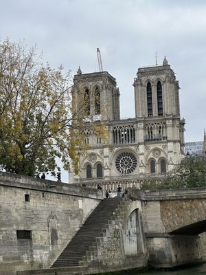 Vedettes de Paris by null