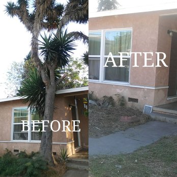 Aaa Tree Care - Yucca Tree cut down & stump grinded down. - Landscaping Near Me Aaa Tree Care - Yucca Tree cut down & stump grinded down. - Landscaping Near Me