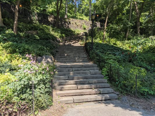 Fort Tryon Park by null