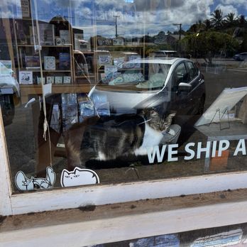 Talk Story Bookstore - The cutie Natalie - Bookstores Near Me - Kaumakani, Hawaii Talk Story Bookstore - The cutie Natalie - Bookstores Near Me - Kaumakani, Hawaii