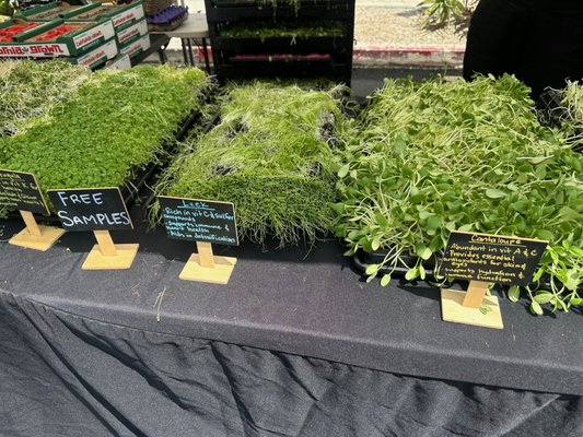 Melrose Place Farmers Market by null