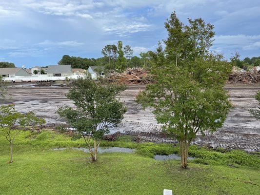 GRAND PALMS RESORT - Updated September 2024 - 1250 US Hwy 17 N ...