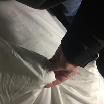 Econo Lodge Biltmore - Literally a bunch of cotton balls - Hotels Near Me - Asheville, North Carolina