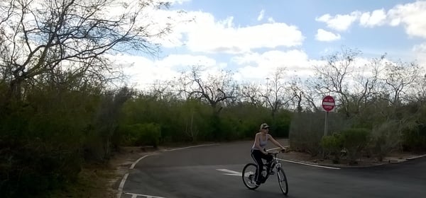 Palo Alto Battlefield National Historical Park by null