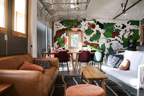 Snowy Owl Cafe & Roastery by null