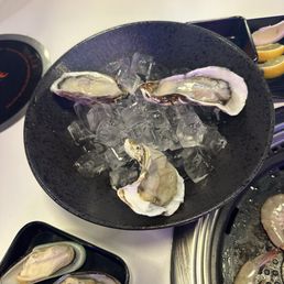 Oysters