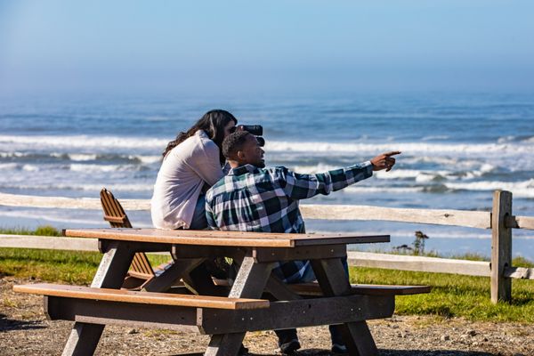 Kalaloch Lodge at Olympic National Park by null