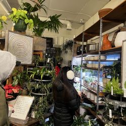 Tangletown Gardens