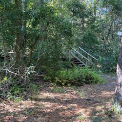 Surf city Disc golf Course