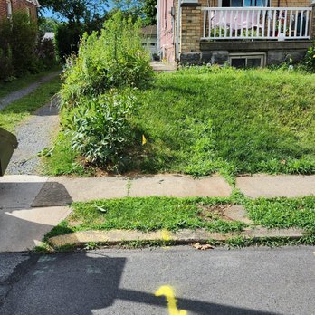 Lavish Landscaping - Landscaping Near Me Lavish Landscaping - Landscaping Near Me