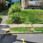 Photo of Lavish Landscaping