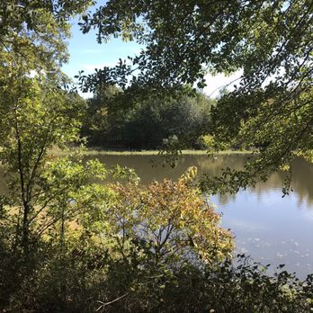 Lake Tawakoni State Park - Parks Near Me - Wills Point, Texas Lake Tawakoni State Park - Parks Near Me - Wills Point, Texas