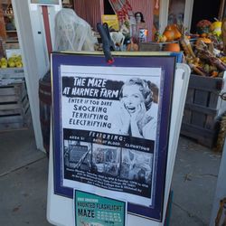 Harner Farm Market - Halloween 2024
