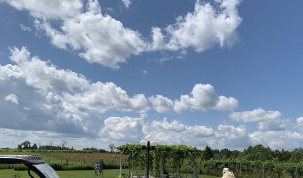 Northern Sun Winery and Vineyards by null